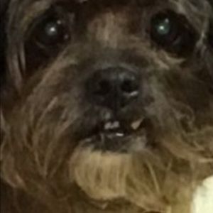 Meet your Posher, Mari